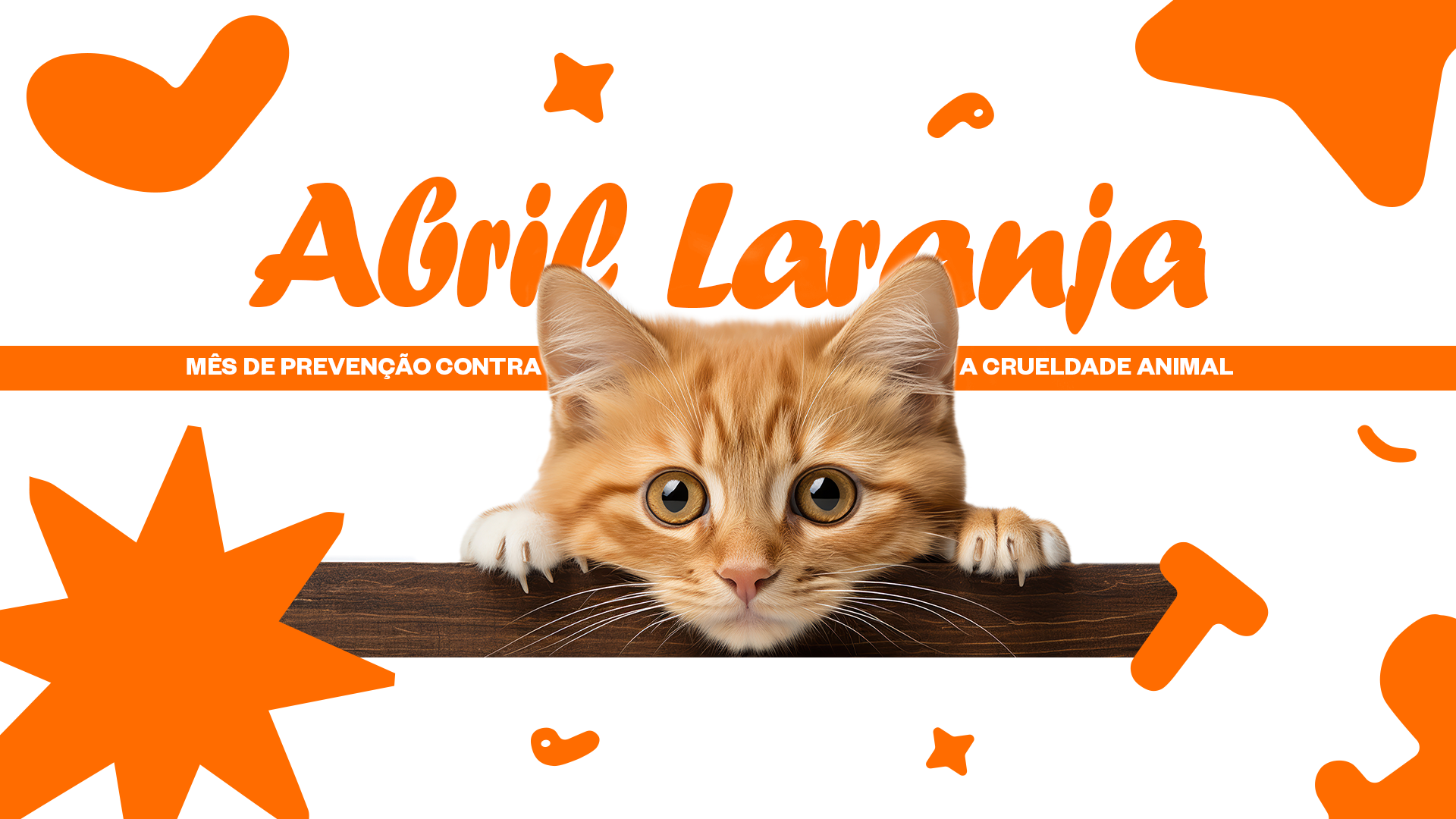 prevenção-a-crueldade-animal