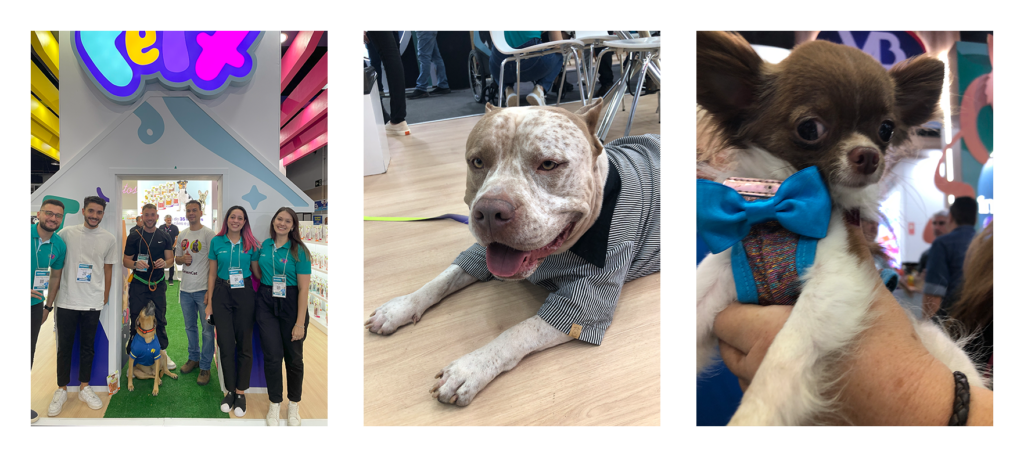 Feira-superpet