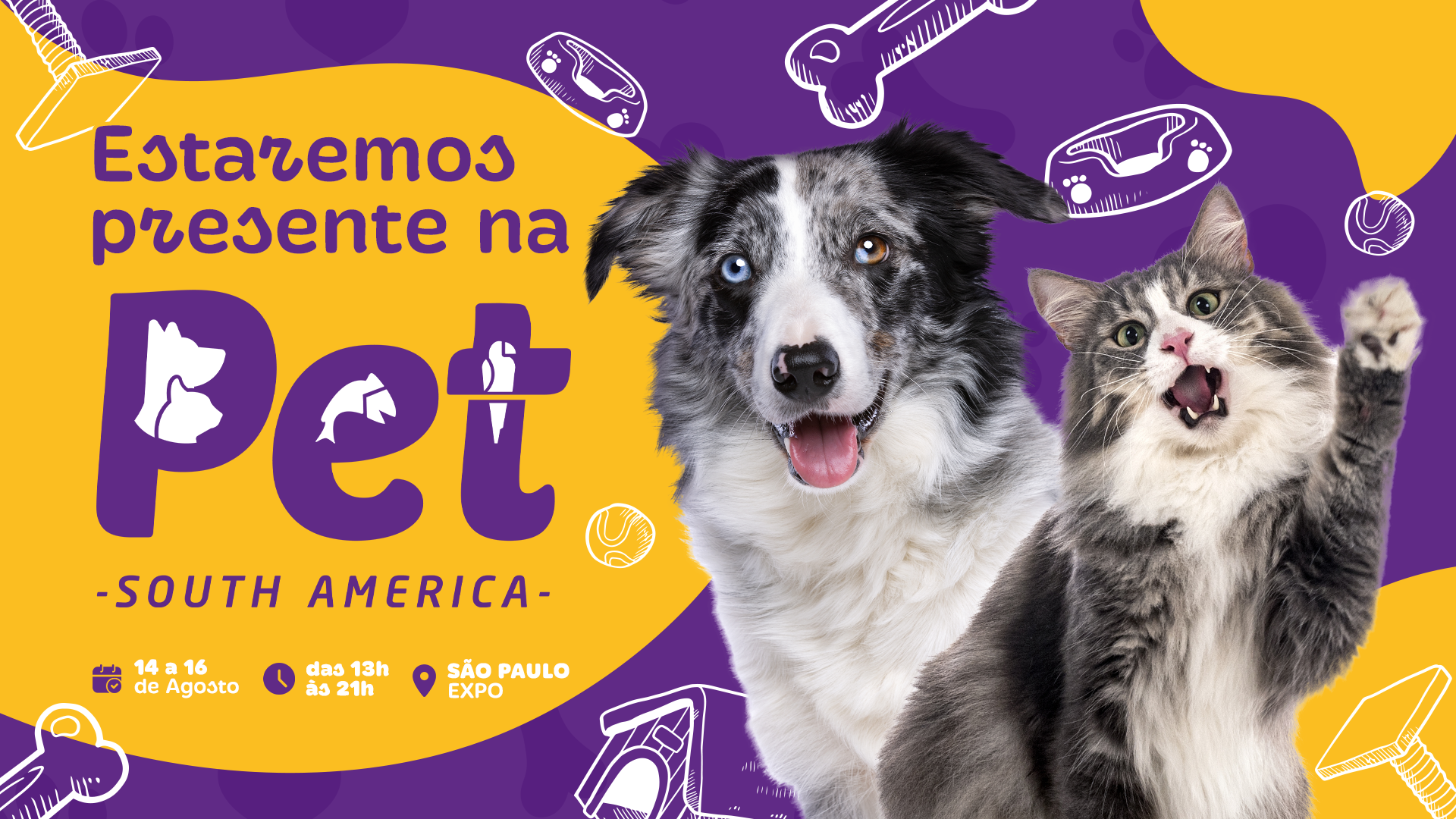 pet-south-america-2024